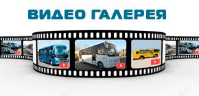 Видео автобусов